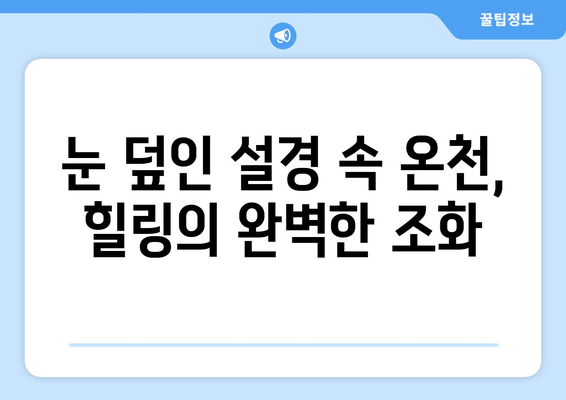 훗카이도 료칸 추천, 일본 전통 온천에서의 힐링 여행