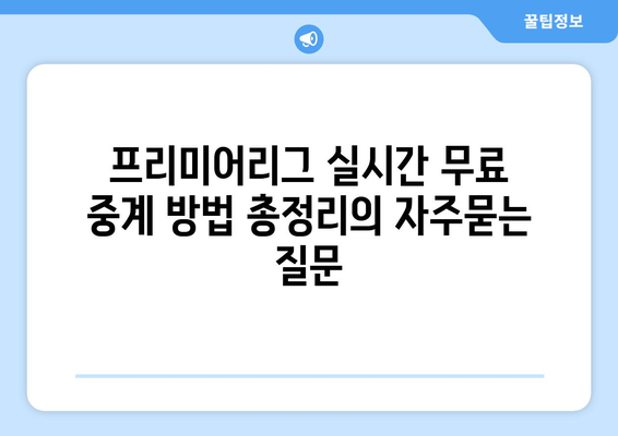 프리미어리그 실시간 무료 중계 방법 총정리