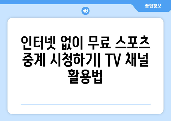 무료 스포츠 중계 실시간 TV 채널