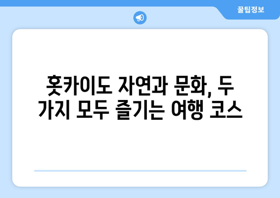 훗카이도 여행 정보, 자연과 문화를 함께 즐기는 방법