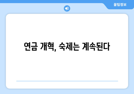 연금개혁안 문제점: 국민연금 개혁의 주요 도전 과제