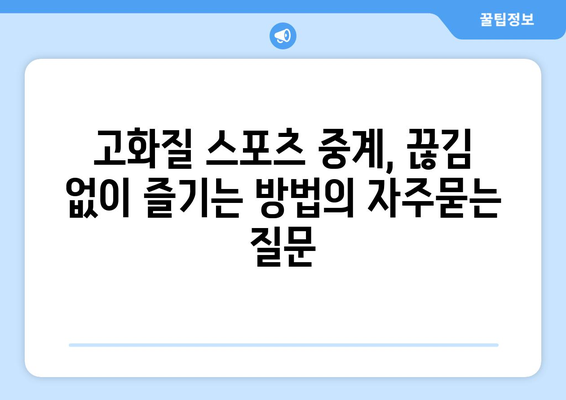 고화질 스포츠 중계, 끊김 없이 즐기는 방법