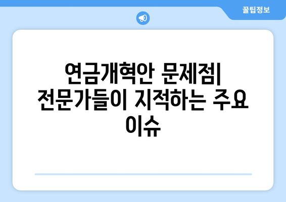 연금개혁안 문제점: 전문가들이 지적하는 주요 이슈