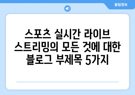 스포츠 실시간 라이브 스트리밍의 모든 것