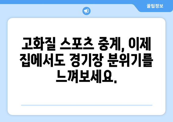 고화질 스포츠 실시간 중계: 최적의 스트리밍 서비스 소개