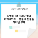 임영웅 IM HERO 명곡 하이라이트 - 팬들의 눈물을 자아낸 무대