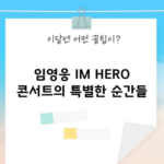 임영웅 IM HERO 콘서트의 특별한 순간들