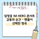 임영웅 IM HERO 콘서트 감동의 순간 - 팬들이 선택한 명곡