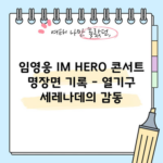 임영웅 IM HERO 콘서트 명장면 기록 - 열기구 세레나데의 감동