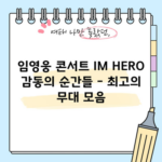 임영웅 콘서트 IM HERO 감동의 순간들 - 최고의 무대 모음