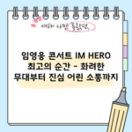 임영웅 콘서트 IM HERO 최고의 순간 - 화려한 무대부터 진심 어린 소통까지