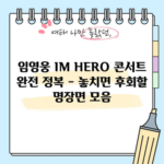 임영웅 IM HERO 콘서트 완전 정복 - 놓치면 후회할 명장면 모음