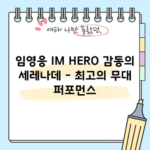 임영웅 IM HERO 감동의 세레나데 - 최고의 무대 퍼포먼스