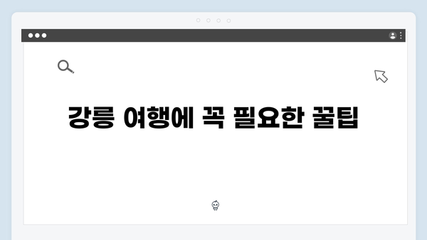 미우새 411화 완벽 분석 - 김일우의 강릉 맛집 투어와 일상 공개