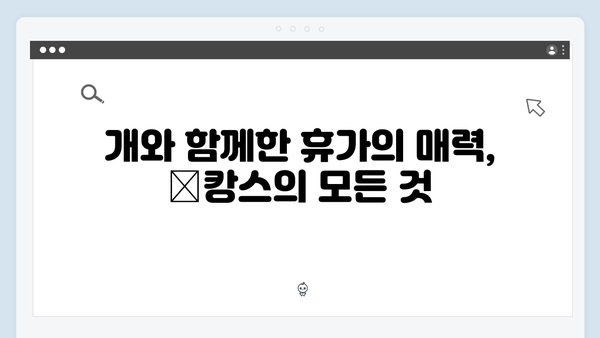 [미우새 412회] 개버지 패밀리의 大환장 犬캉스 대공개 - 시청률 11.6% 기록