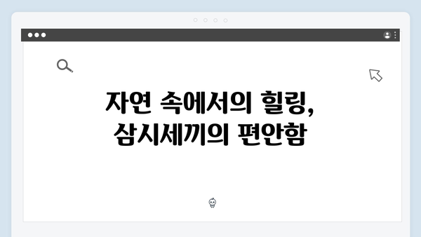 삼시세끼 임영웅 편 시청자 호평 받은 이유