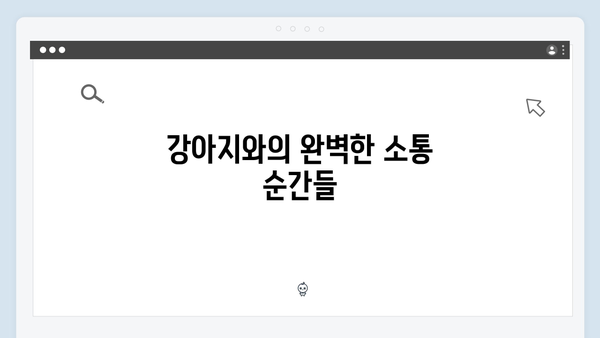 미우새 최신회 리뷰 - 개버지 패밀리의 강아지 동반 여행 대공개