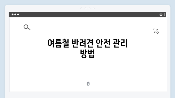 미운우리새끼 최신회 총정리 - 반려견과 함께하는 특별한 여름 휴가