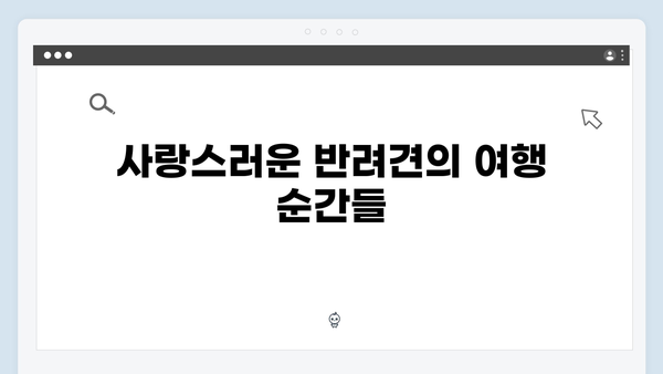 미운우리새끼 412화 완벽 리뷰 - 반려견과 함께하는 특별한 여행 이야기