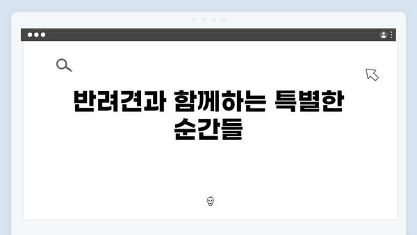 미운우리새끼 412화 핫클립 - 반려견과 함께하는 특별한 휴가