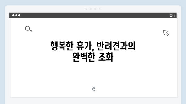 미운우리새끼 412화 핫클립 - 반려견과 함께하는 특별한 휴가