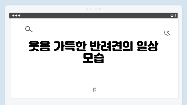 [미운우리새끼] 412회 본방사수 총정리 - 반려견과 함께한 특별한 시간