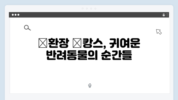 [미우새 412회] 개버지 패밀리의 大환장 犬캉스 대공개 - 시청률 11.6% 기록