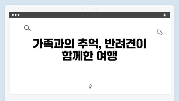 미운우리새끼 412화 핫클립 - 반려견과 함께하는 특별한 휴가