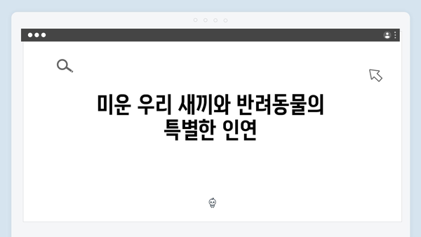 [미운우리새끼] 412회 명장면 - 강아지와 함께하는 힐링 타임