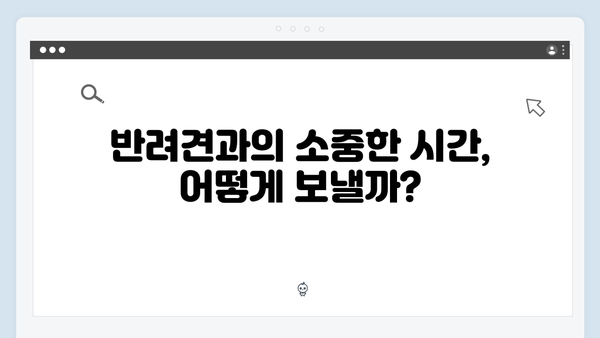 미운우리새끼 412화 핫클립 - 반려견과 함께하는 특별한 휴가