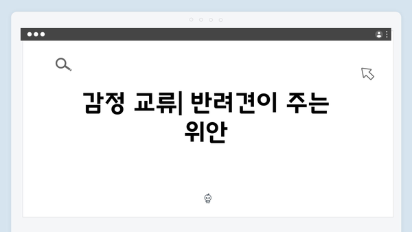 [미운우리새끼] 412회 본방사수 총정리 - 반려견과 함께한 특별한 시간