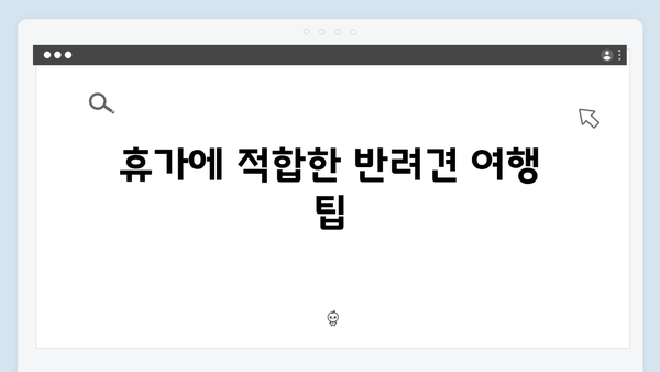 미운우리새끼 412화 핫클립 - 반려견과 함께하는 특별한 휴가