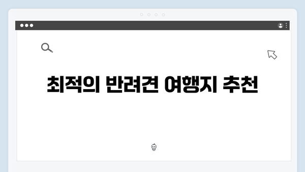 미운우리새끼 최신회 총정리 - 반려견과 함께하는 특별한 여름 휴가