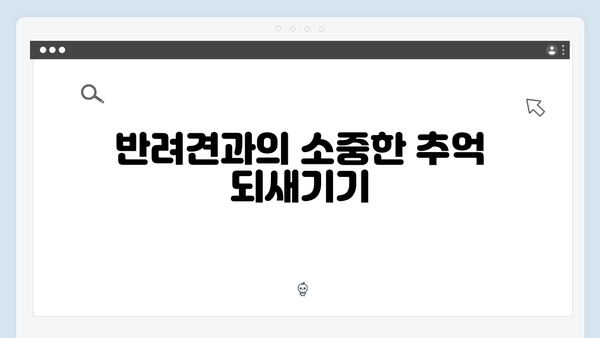 [미운우리새끼] 412회 본방사수 총정리 - 반려견과 함께한 특별한 시간