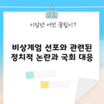 비상계엄 선포와 관련된 정치적 논란과 국회 대응