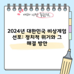 2024년 대한민국 비상계엄 선포: 정치적 위기와 그 해결 방안