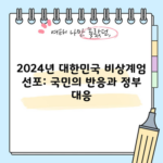 2024년 대한민국 비상계엄 선포: 국민의 반응과 정부 대응