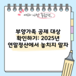 부양가족 공제 대상 확인하기: 2025년 연말정산에서 놓치지 말자