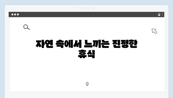 임영웅의 농촌 일기: 8가지 힐링 포인트