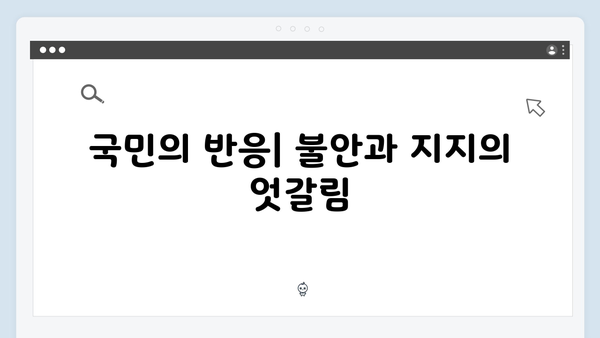 2024년 대한민국 비상계엄 선포: 국민의 반응과 정부 대응