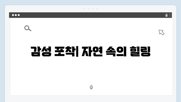 삼시세끼 임영웅 편 성공 요인 분석