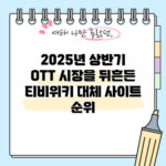 OTT 시장