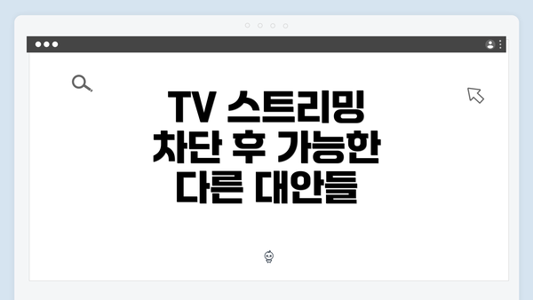 TV 스트리밍 차단 후 가능한 다른 대안들