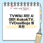 TVwiki 차단 대안