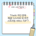 TVwiki 차단 문제