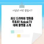 KokokTV 대체 플랫폼