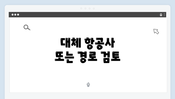 대체 항공사 또는 경로 검토