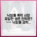 6·27 대책 후 낙찰률 급락, 대응 전략 완벽 가이드