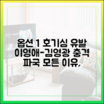 초보도 이해하는 이영애-김영광 파국, 감당할 수 있겠어?