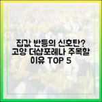 집값 반등 신호? 고양 더샵포레나 주목할 이유 5가지